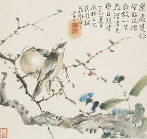 Pár čínských ptáků Bulbul, 1857
