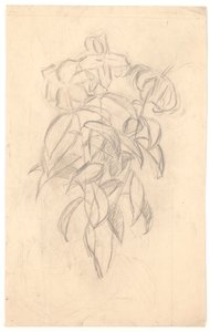 Květinová studie od Joakim Frederik Skovgaard