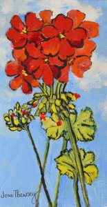 Geranium Spray,2017, (akryl) od Joan Thewsey