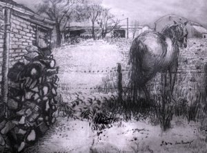 Kůň odpočívá nohu, 2000, (inkoust na mokrém ingresovém papíru) od Joan Thewsey