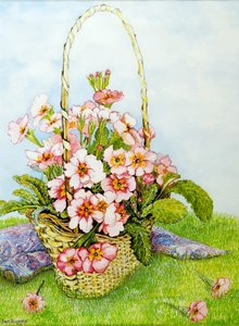 Růžové petrklíče v květinářství s šátkem Paisley, 2010, akvarel od Joan Thewsey