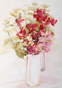 Zátiší s Deadnettles a Wallflowers (akvarel na papíře) od Joan Thewsey