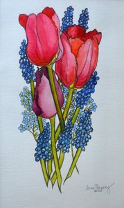 Tulipány, muškáty a pomněnky,2002, od Joan Thewsey
