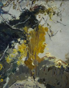 Baum od Joaquim Mir i Trinxet