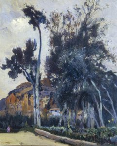 Miravet od Joaquim Mir i Trinxet