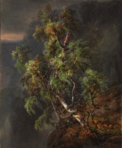 Bříza v bouři od Johan Christian Dahl