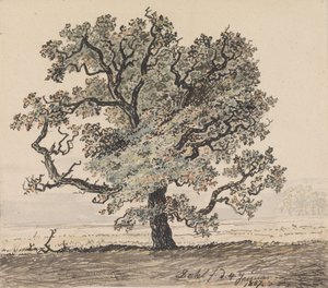 Borovice na rovině od Johan Christian Dahl