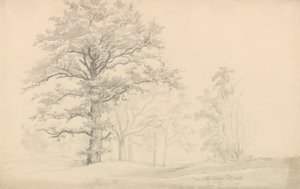 listnaté stromy od Johan Christian Dahl