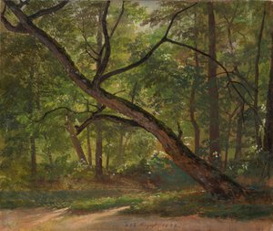 Pozemek ve Velké zahradě u Drážďan od Johan Christian Dahl