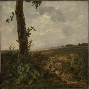 Pohled u Prestø od Johan Christian Dahl
