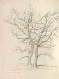 Dva duby od Johan Christian Dahl