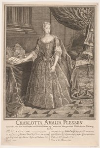 Charlotte Amalie Plessen   1264724   cs       czech Successfully Translated  Original: Common flying dragon and two-horned chameleon Translat: Common flying dragon and two-horned chameleon 1412020 cs czech Successfully Translated Original: Arashi Rikan als