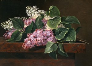 Šeřík na římse, od Johan Laurents Jensen