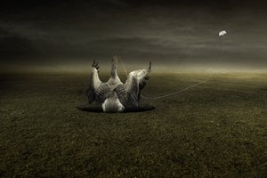 Pomoc na cestě, 2013 (fotografie) od Johan Lilja