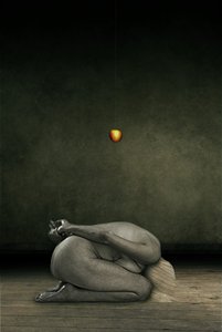 Hide my self, 2013 (manipulace s fotografiemi) od Johan Lilja