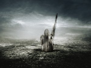 Červená čára, 2013 (fotografie) od Johan Lilja