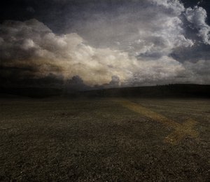 Tulipán, 2015 (fotografie) od Johan Lilja