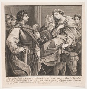 David a Abigail