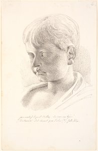 Vedoucí Britannicus. 3/4 profilu vlevo od Johan Thomas Lundbye