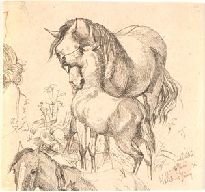 Klisna a hříbě, f.n. studie koně (hřbet a hlava) a ucho hříběte od Johan Thomas Lundbye