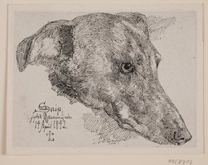 Hundehoved, Snipe od Johan Thomas Lundbye