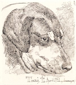 Hundehoved, Terry od Johan Thomas Lundbye