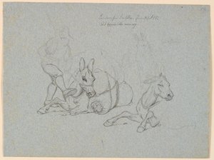 Ležícího osla bičoval a kopal řidič. T.h. dvě studie ležícího a stojícího osla od Johan Thomas Lundbye
