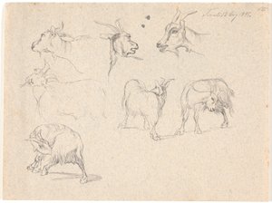 Studie koz od Johan Thomas Lundbye