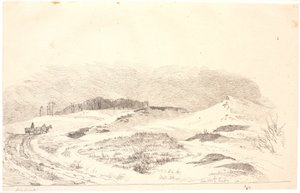 Zimní krajina typická pro severní část Zélandu