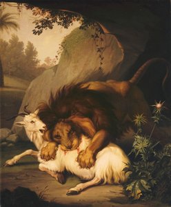 Lev útočící na kozu, 1785
