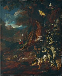 Krajina s plazy a hmyzem (I) od Johann Adalbert Angermayer