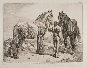 Černí koně z Lincolnshire od Johann Adam Klein