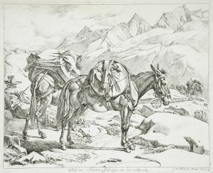Pohoří Furka, Švýcarsko od Johann Adam Klein
