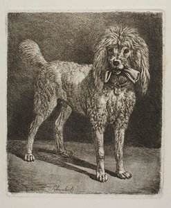  od Johann Adam Klein