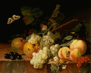 Ovoce na mramorové římse s motýly, šnekem a housenkou (olej na plátně) od Johann Amandus Wink