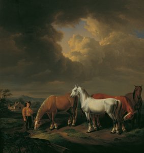 Pět farmářských koní od Johann Baptist Michael Dallinger von Dalling