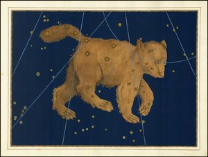 Johann Bayer, Ursa Major od Johann Bayer