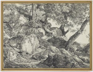 V parku Palazzo Chigi, Ariccia, 1818 (grafit a černá křída na papíře) od Johann Christian Reinhardt