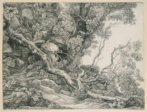 Stromy na skalnatém svahu od Johann Christian Reinhart