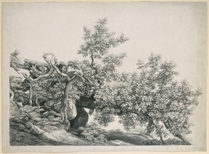 Studie stromu. Padlý kmen s obnaženými kořeny od Johann Christian Reinhart