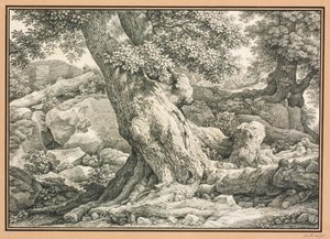  od Johann Christian Reinhart