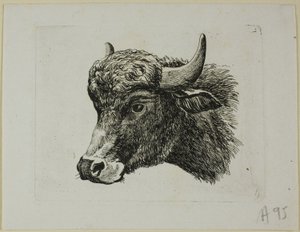 Buffalo Head Facing Left, od Die Zweite Thier Folge od Johann Christian Reinhart