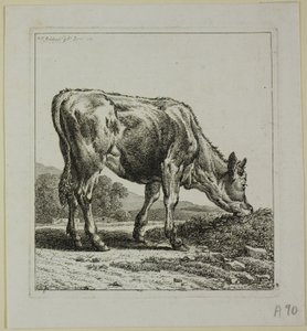 Krmení telat, od Die Zweite Thierfolge od Johann Christian Reinhart
