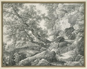 Skalnatá krajina se stromy od Johann Christian Reinhart
