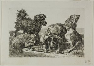 Čtyři psi, od Die Zweite Thier Folge od Johann Christian Reinhart