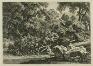 Krajina s Pan hrající na flétnu od Johann Christian Reinhart