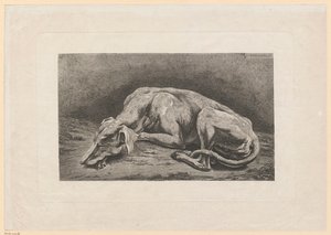 Spící chrt od Johann Christian Reinhart