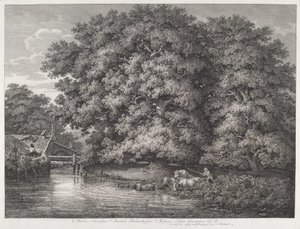 Mlýn u Velkých dubů od Johann Christian Reinhart