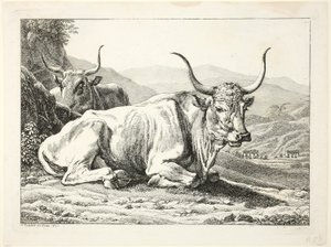 Dva odpočívající římští býci z Die Zweite The Erfolge od Johann Christian Reinhart