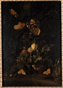 Květiny s motýly a ropucha (olej na dubovém dřevě) od Johann Christian Thomas Winck
